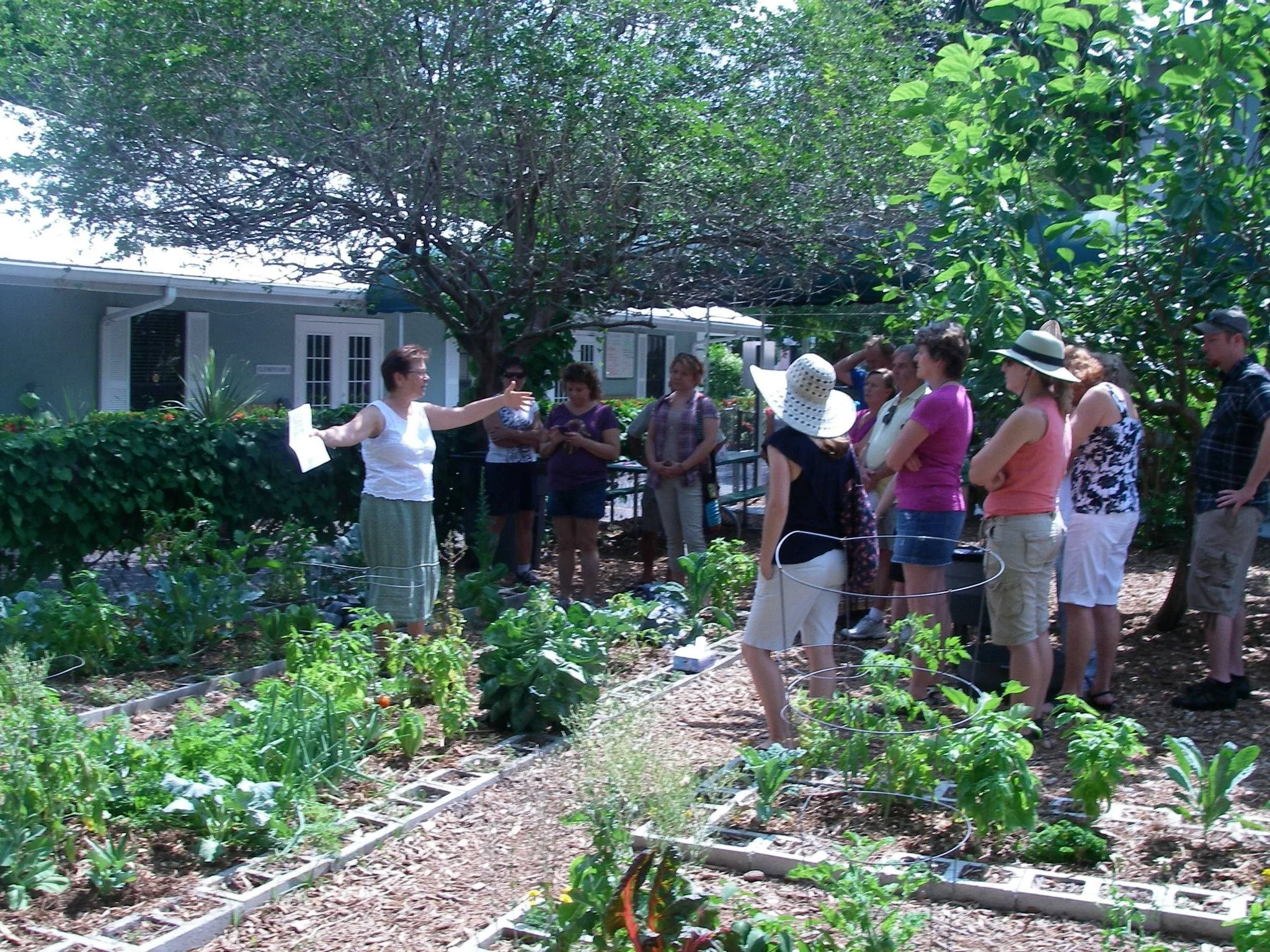 Eat Local Week 2025 Edible School Gardens tour