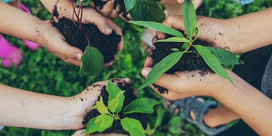 Eat Local Week 2025- Plant Share &amp; Sale by 941 Gardners