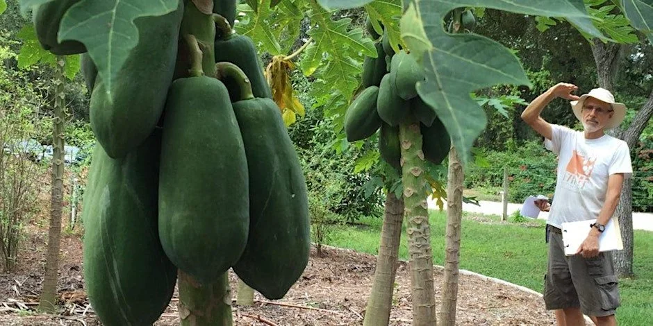Eat Local Week 2025- Fruit Tree Paradise Workshop