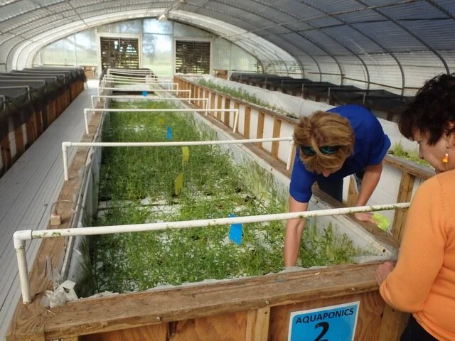 mote-aquaponics-tour-[640x480]-web.jpg