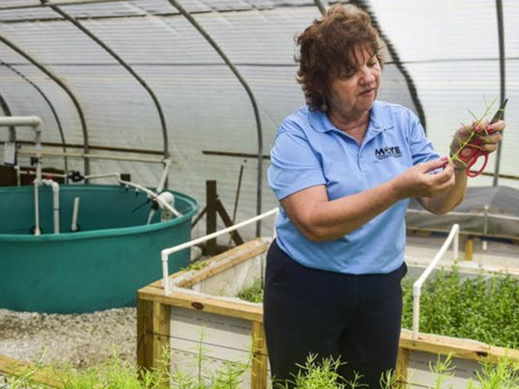 mote-aquaculture-research-park-tour-[1800x1350]-web.jpg