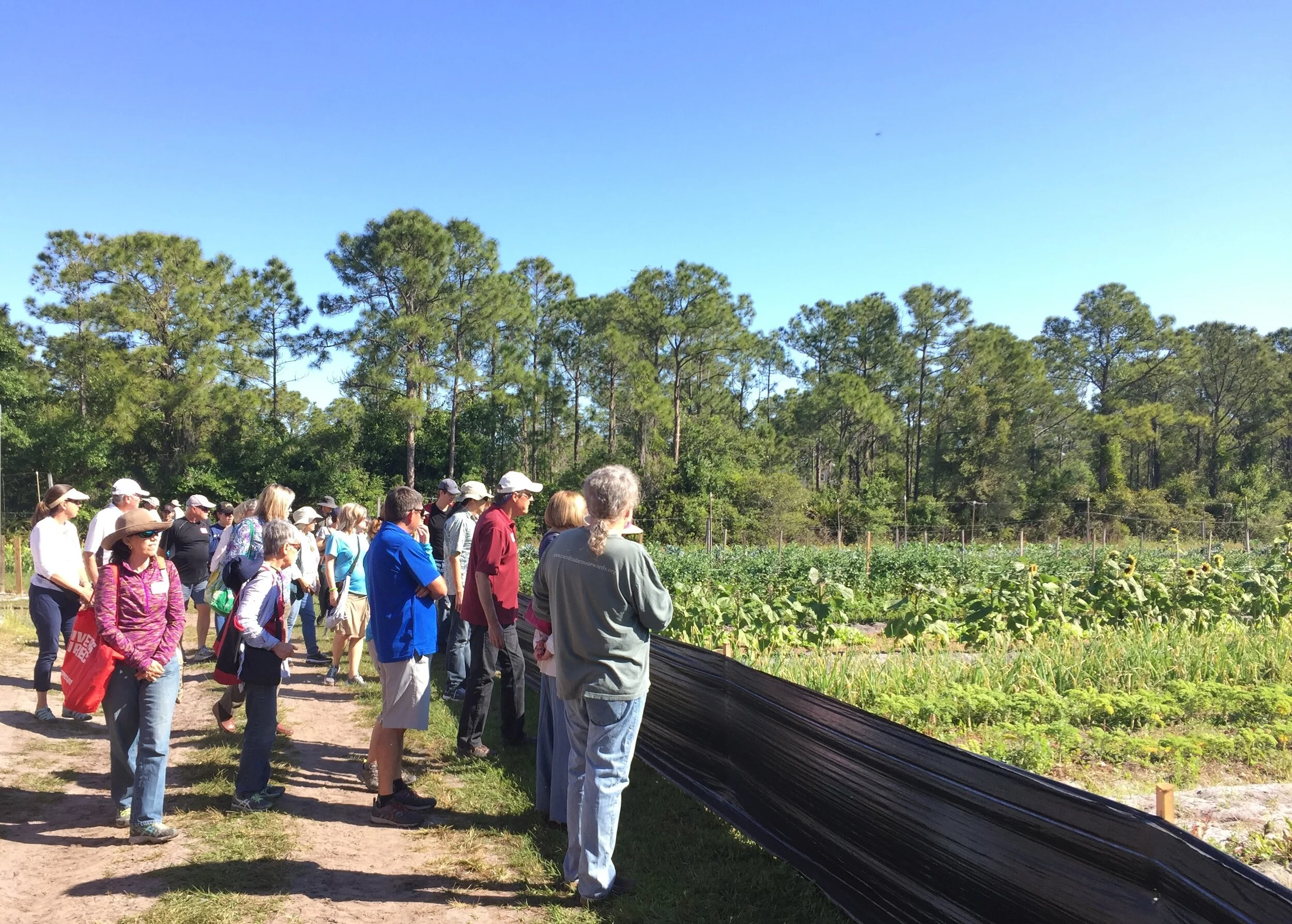 blumenberry-farms-tour-[3006x2150]-web.jpg