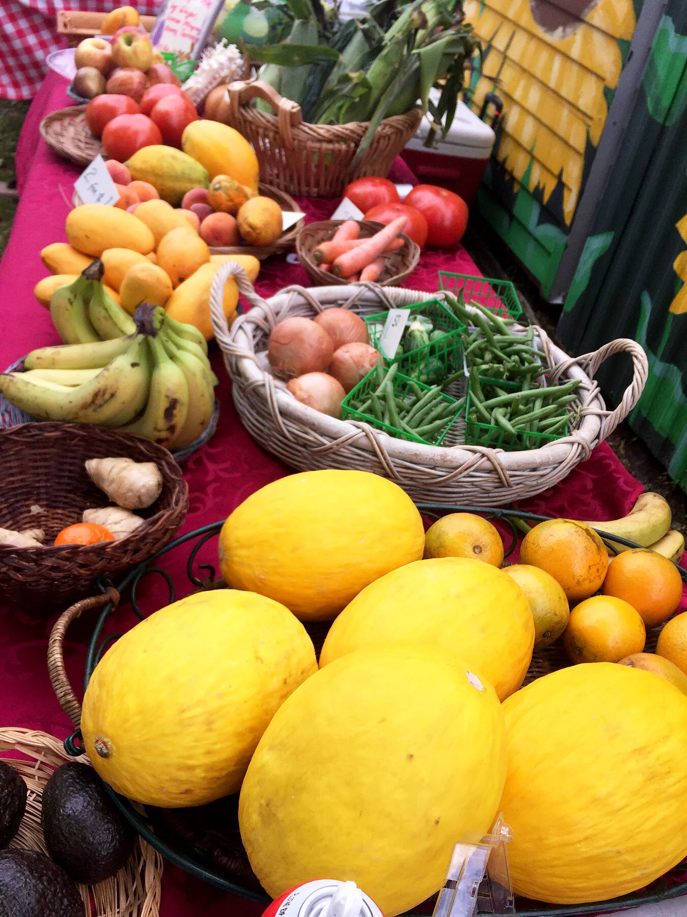 sarasota-local-produce-[1350x1800]-web.JPG