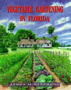 Vegetable Gardening in Florida