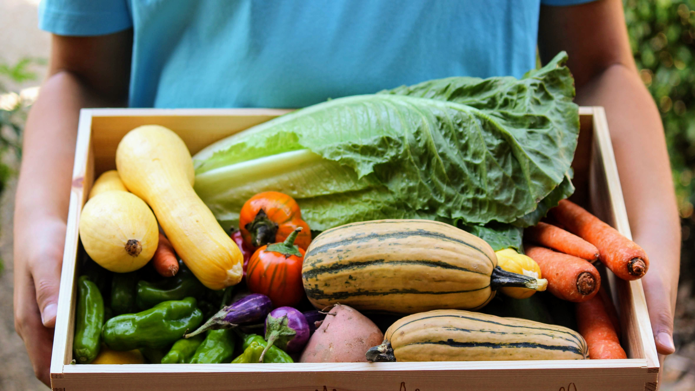 Veggie up, Sarasota! Honeyside Farms, Worden Farm, Blumenberry Farm and Gamble Creek Farms announced their seasonal CSA-subscription opportunities for residents of Florida’s Suncoast.