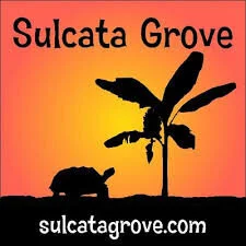 sulcata-grove-[225 × 225]-web.jpeg