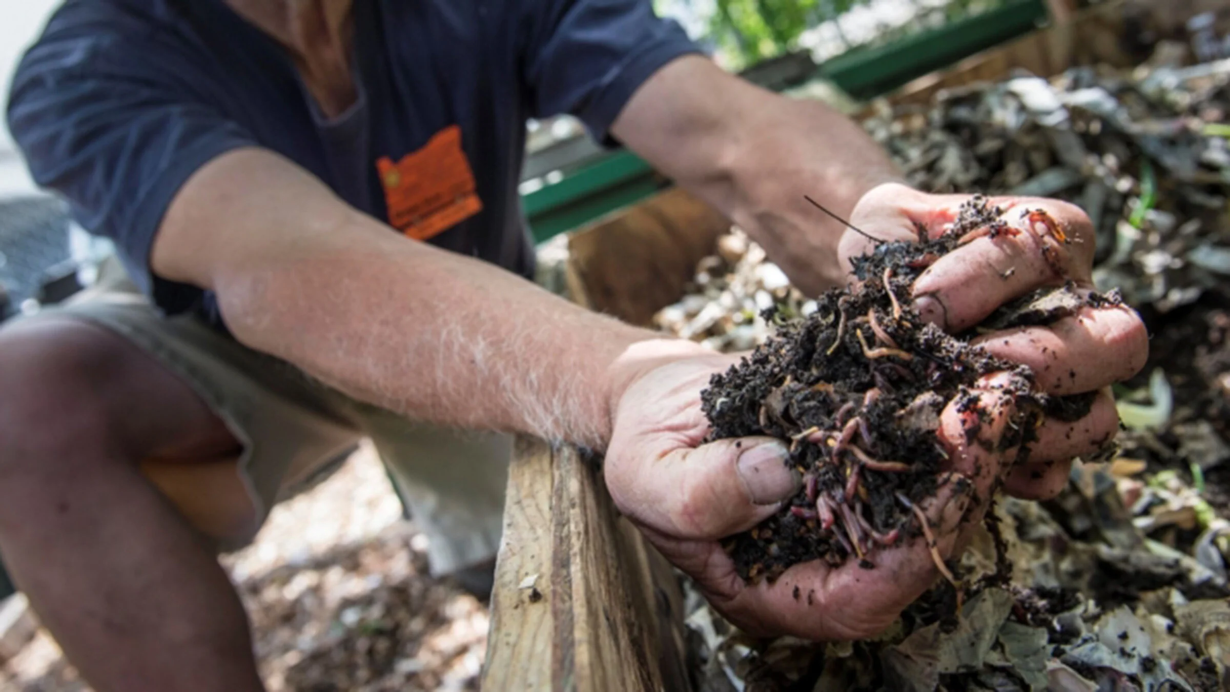 For The Love Of Earthworms