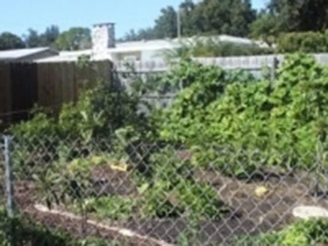 From Grassy Wasteland to Community Garden