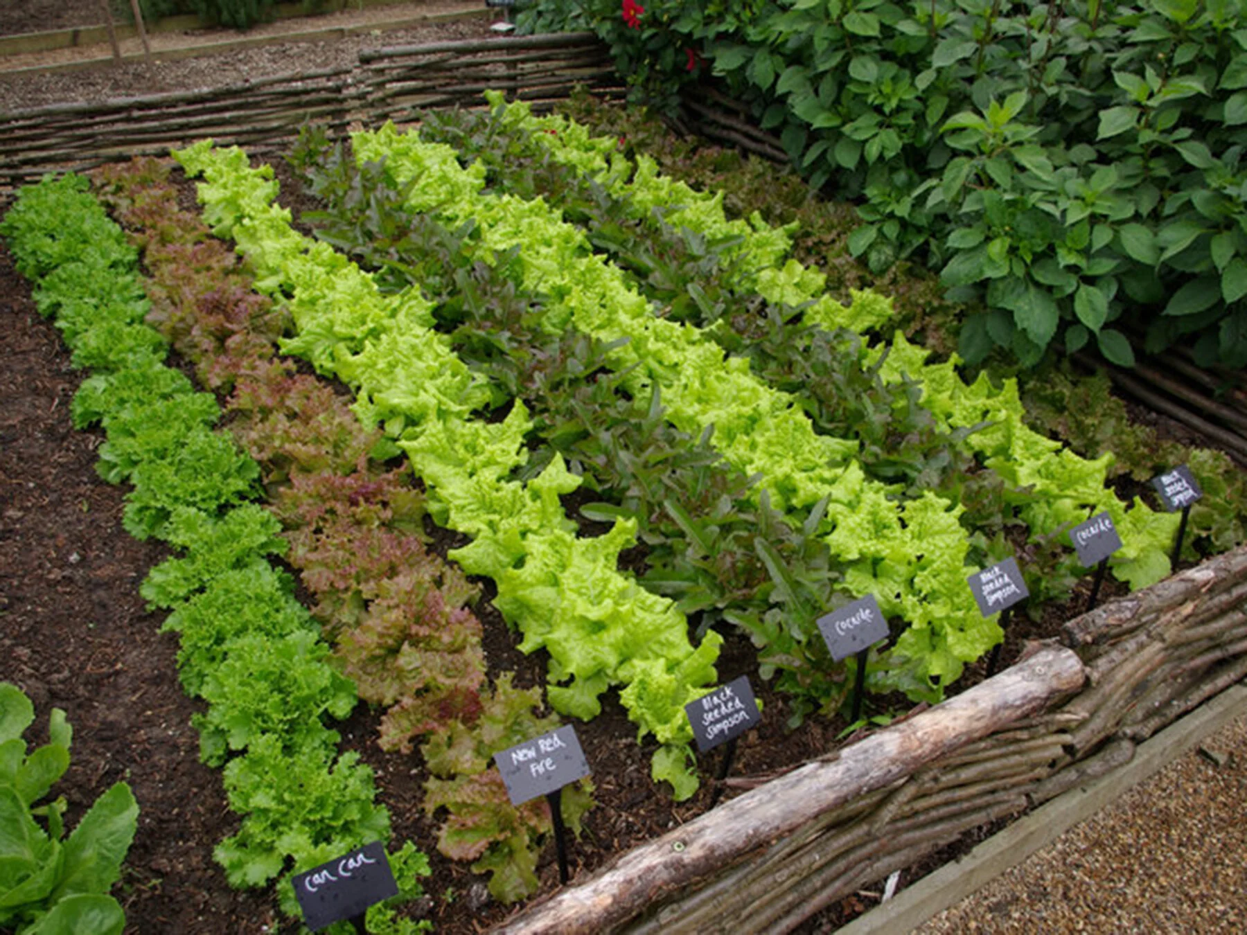 Pete’s Place: Getting The Most Out Of Your Winter Garden