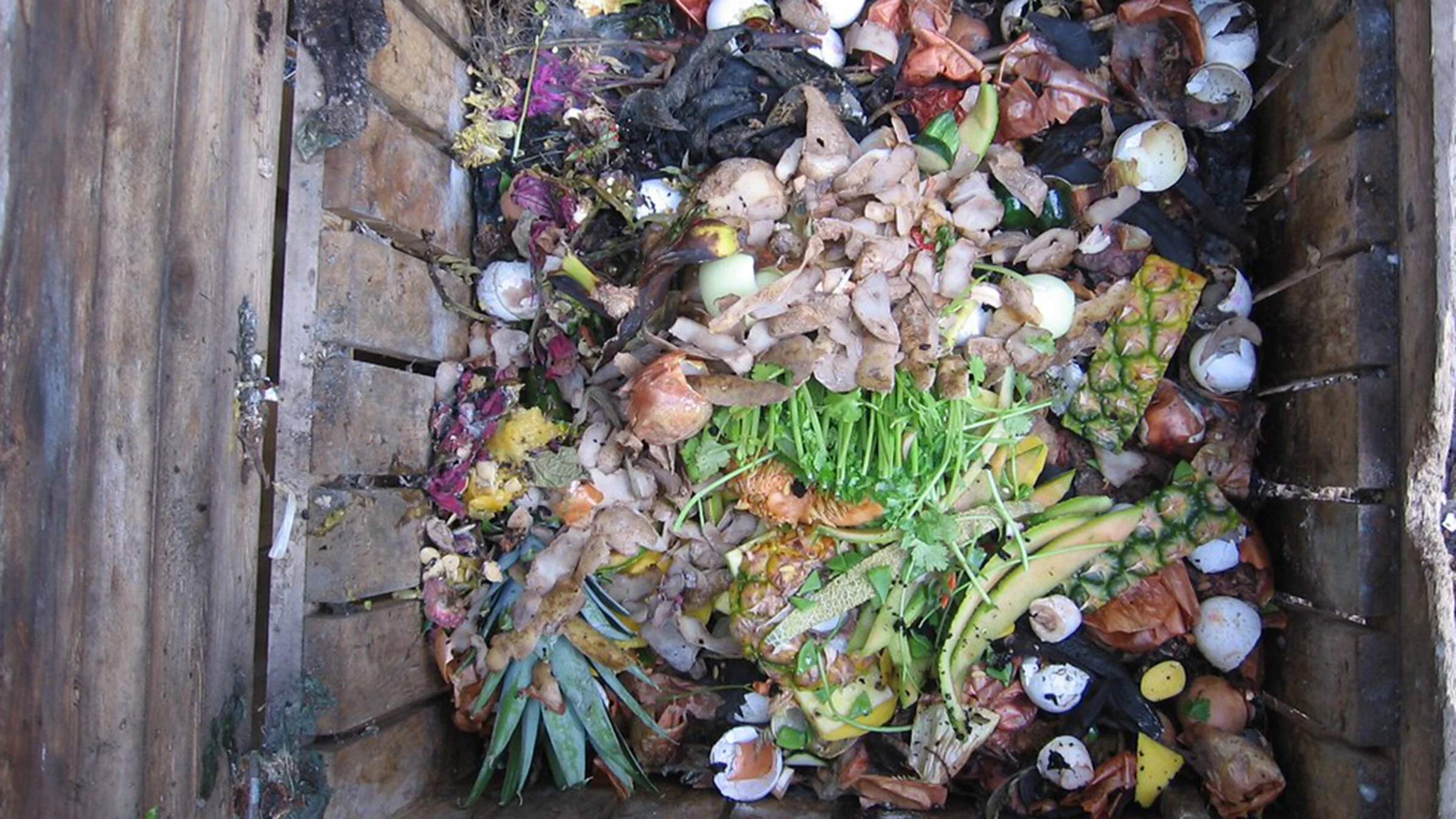 spring-compost-by-john-beales-[2400x1350]-web.jpg