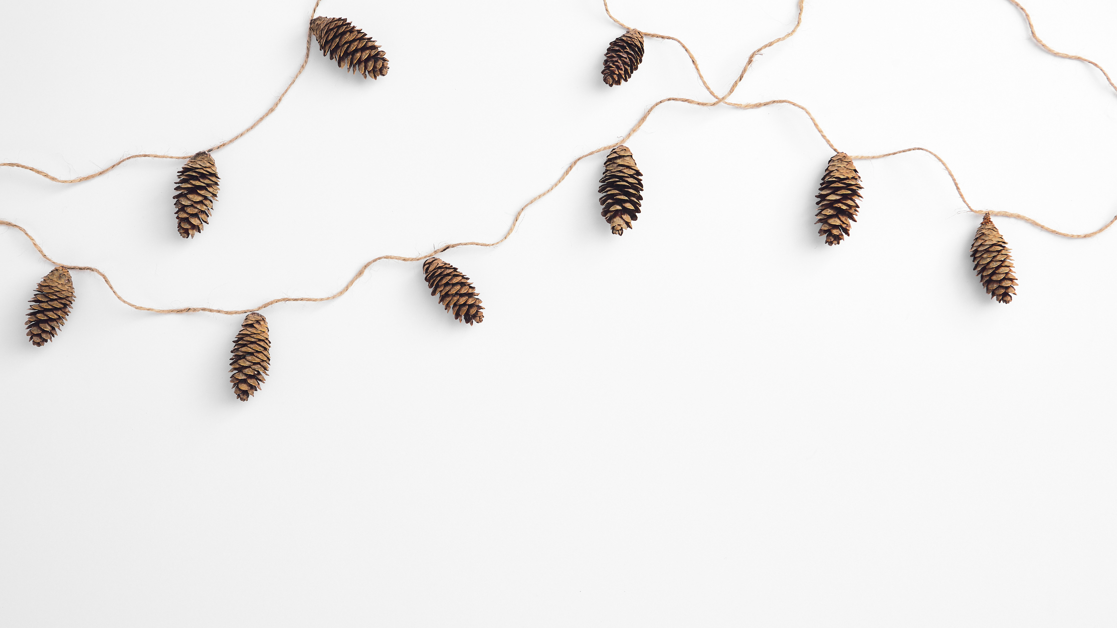 make-cheer-not-waste-1-[2240x1260]-web.png