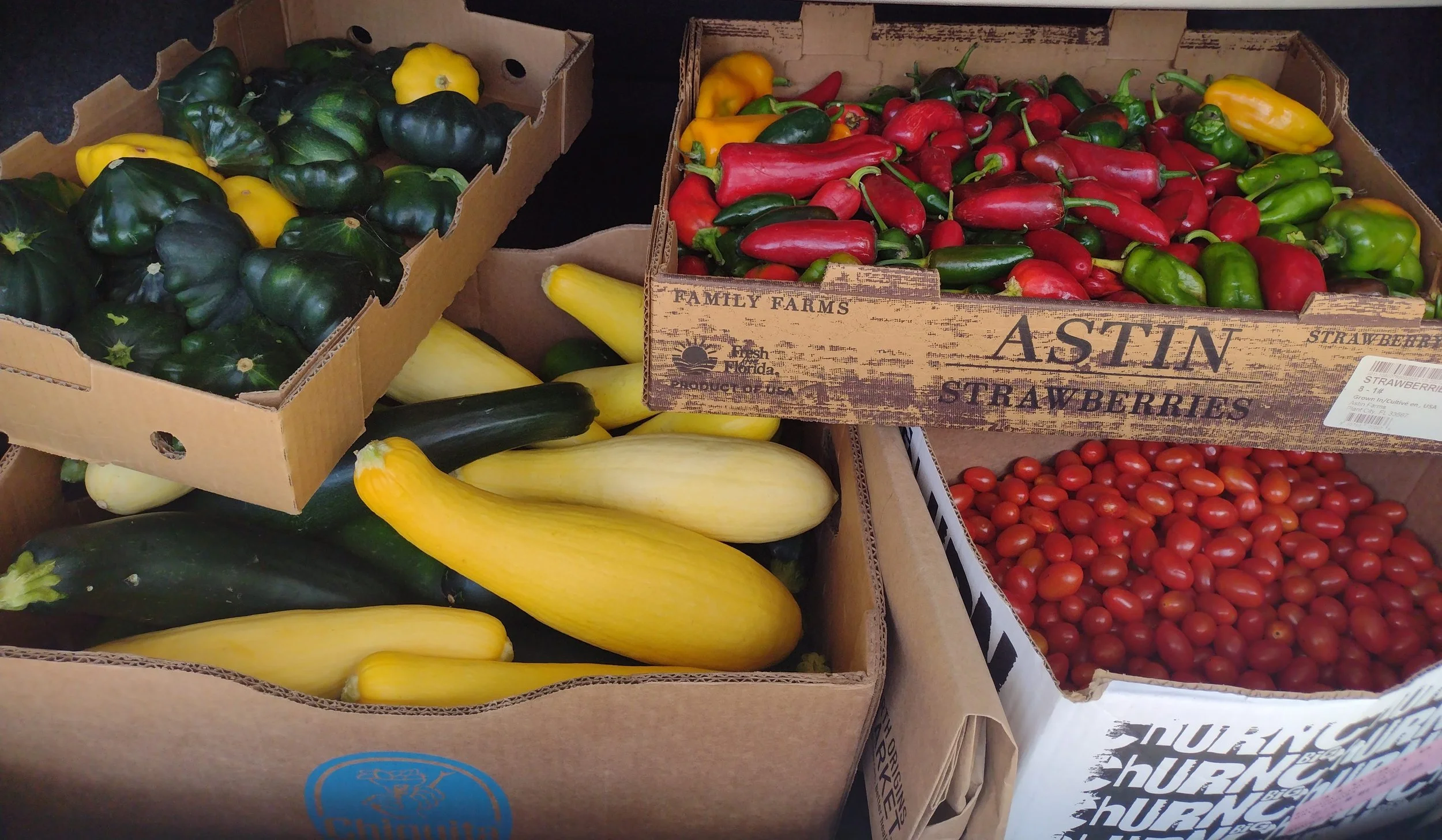 Transition Sarasota is Now Community Harvest SRQ!