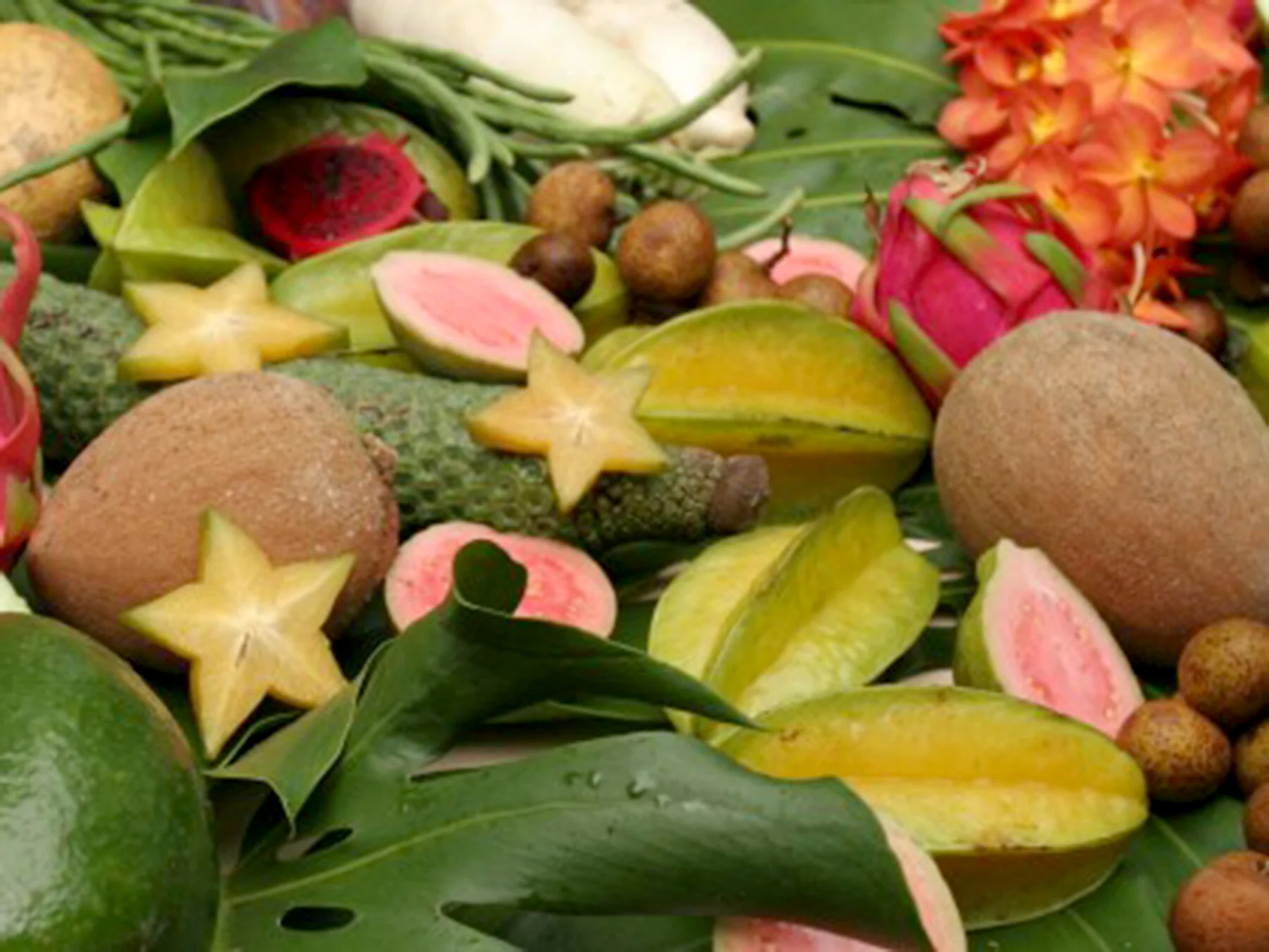tropical-fruit-[1800x1350]-web.jpg