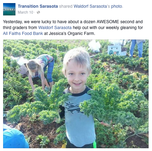 transition-sarasota-facebook-post-10.png