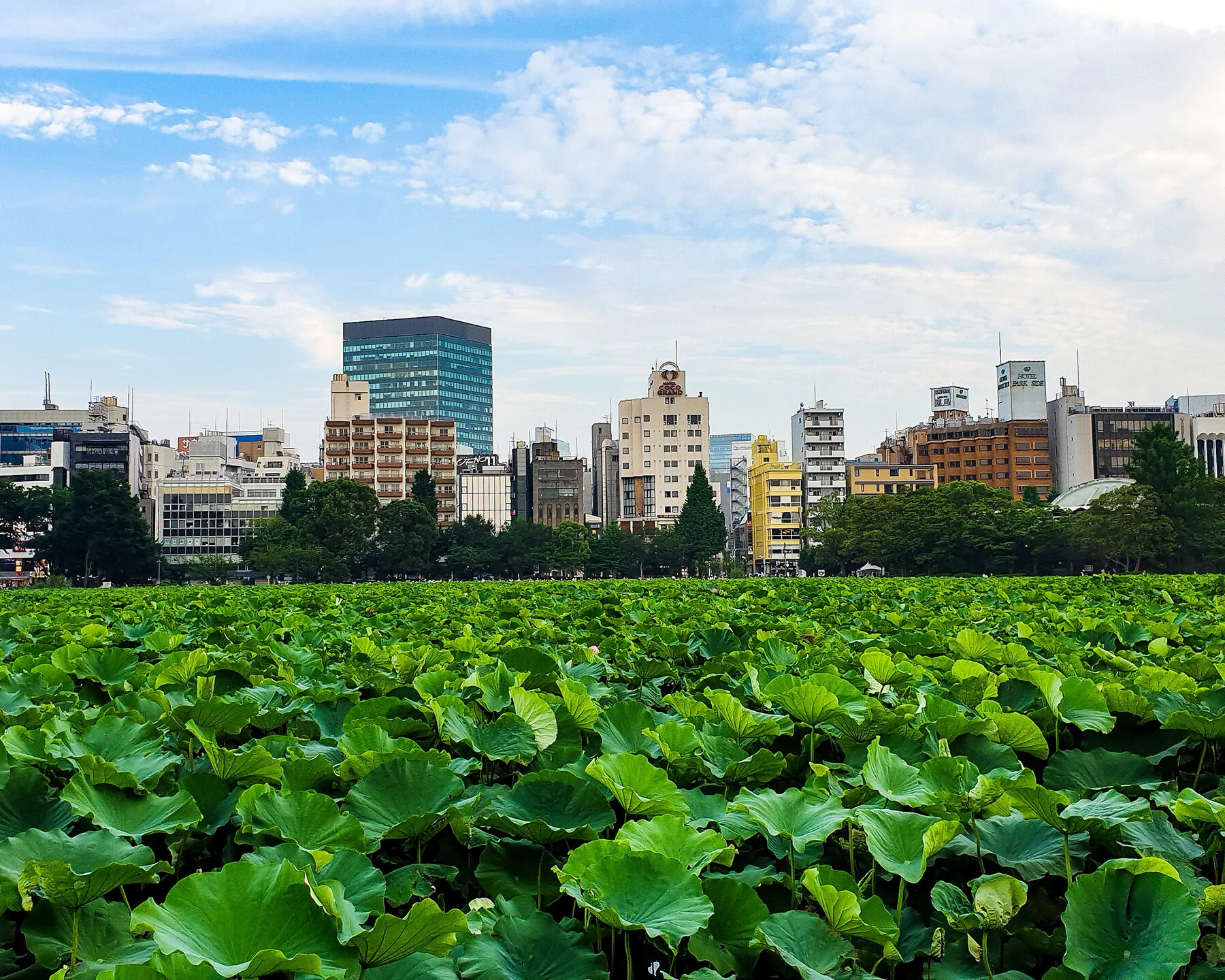 6 Movies We Dig About Food, Farming and the Environment