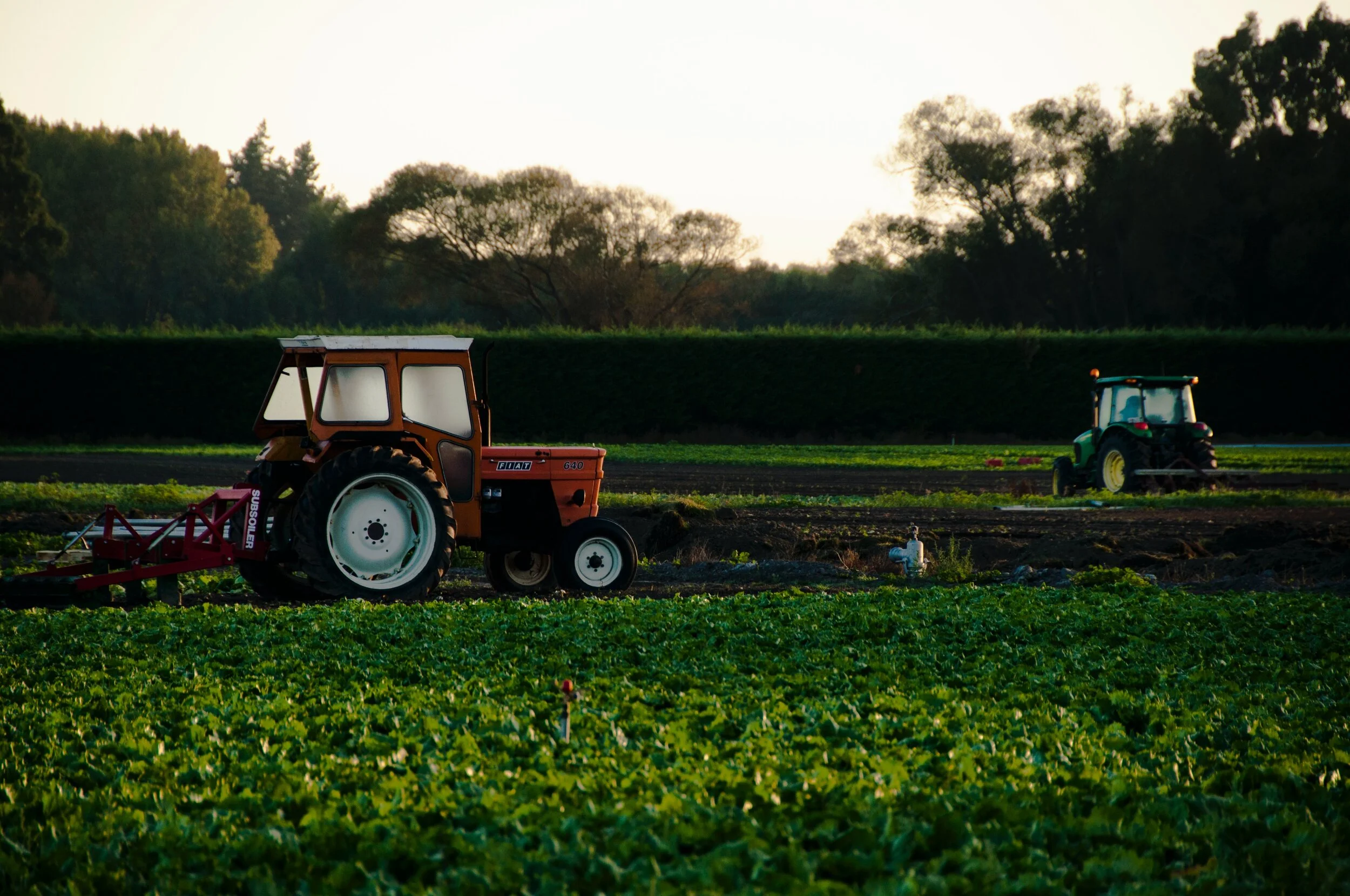 Transitioning to a Circular Food System with the 3R's