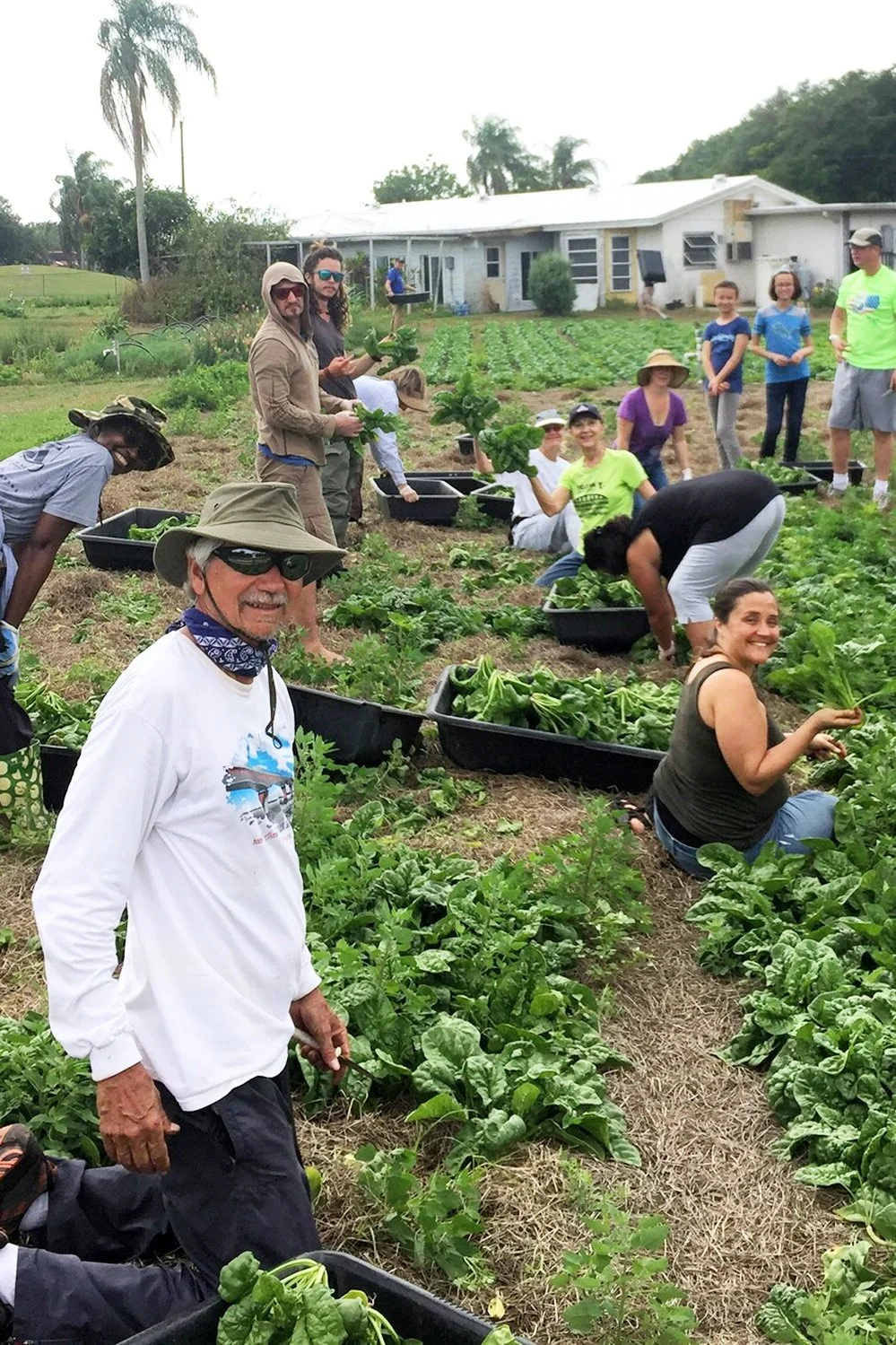 gleaning-community-%5B1000x1500%5D-web.jpg