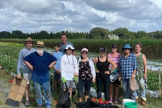 team-of-volunteer-gleaners-[640x426]-web.jpeg