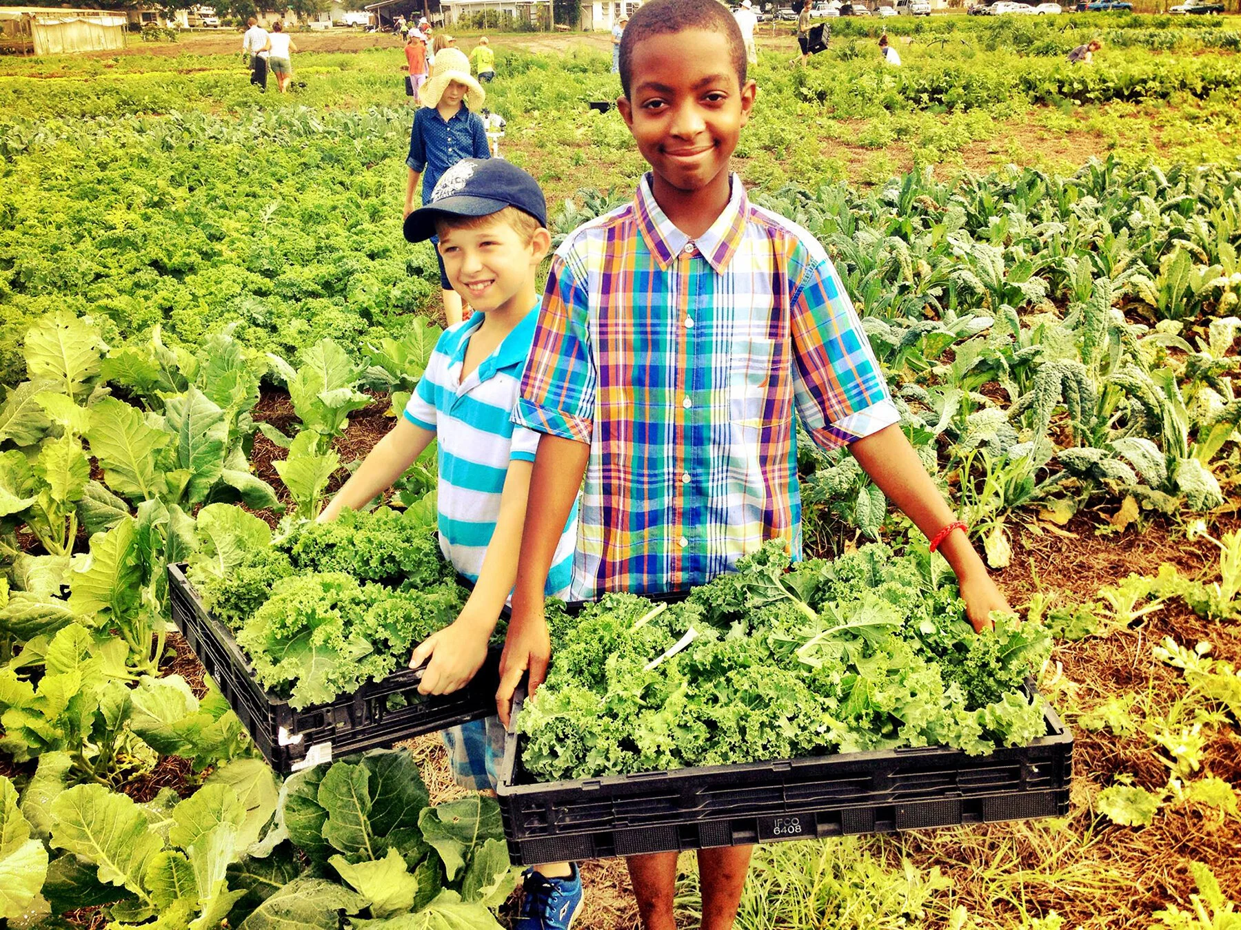 waldorf-kids-gleaning-at-farm-[1800x1350]-web.jpg