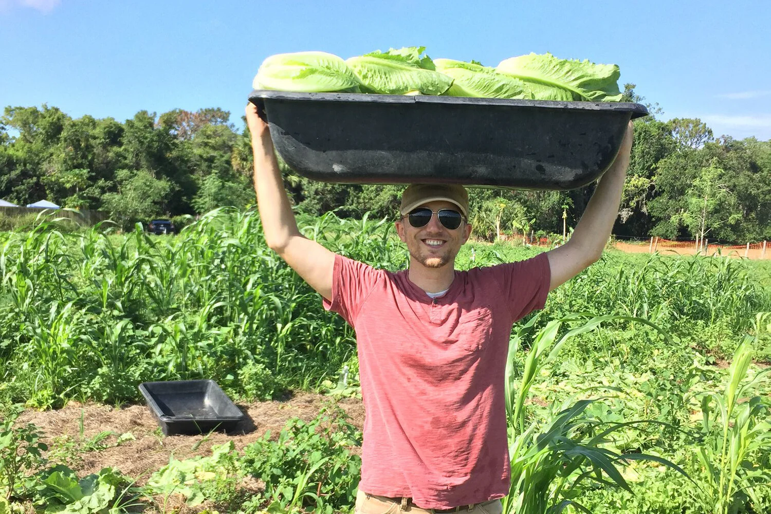 don-hall-gleaning-at-farm-[1500x1000]-web.jpg