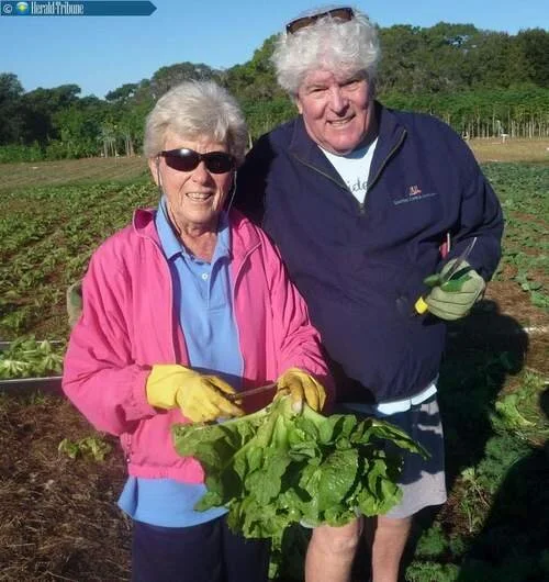 Come Glean: Volunteers harvest food for a good cause