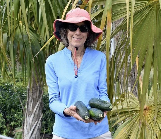 Community Harvest SRQ Rescues Produce For Food Banks