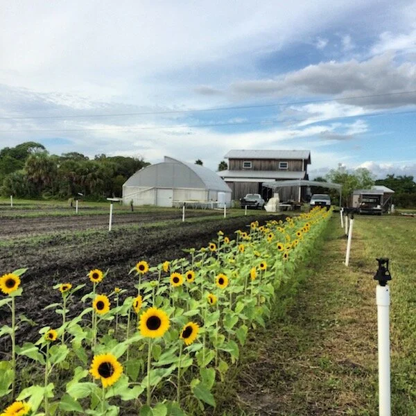 Eat Local Week and Geraldson Community Farm