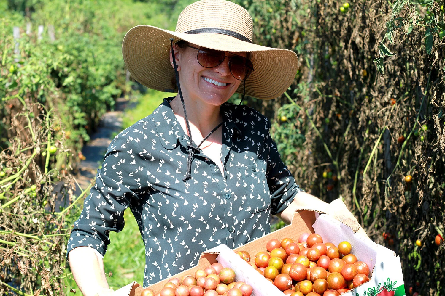 Food Recovery For People And Climate