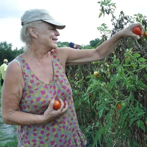 Gleaning event reaps benefits