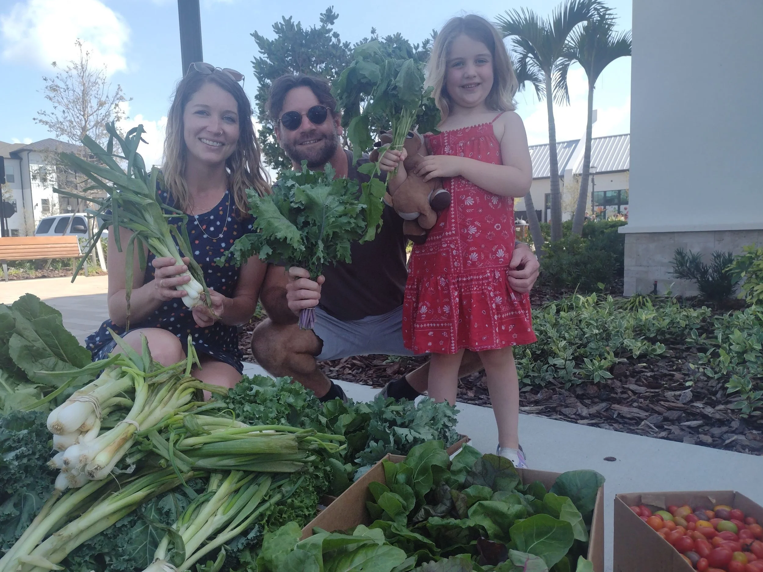 Sarasota Volunteers Transition Produce to Plates
