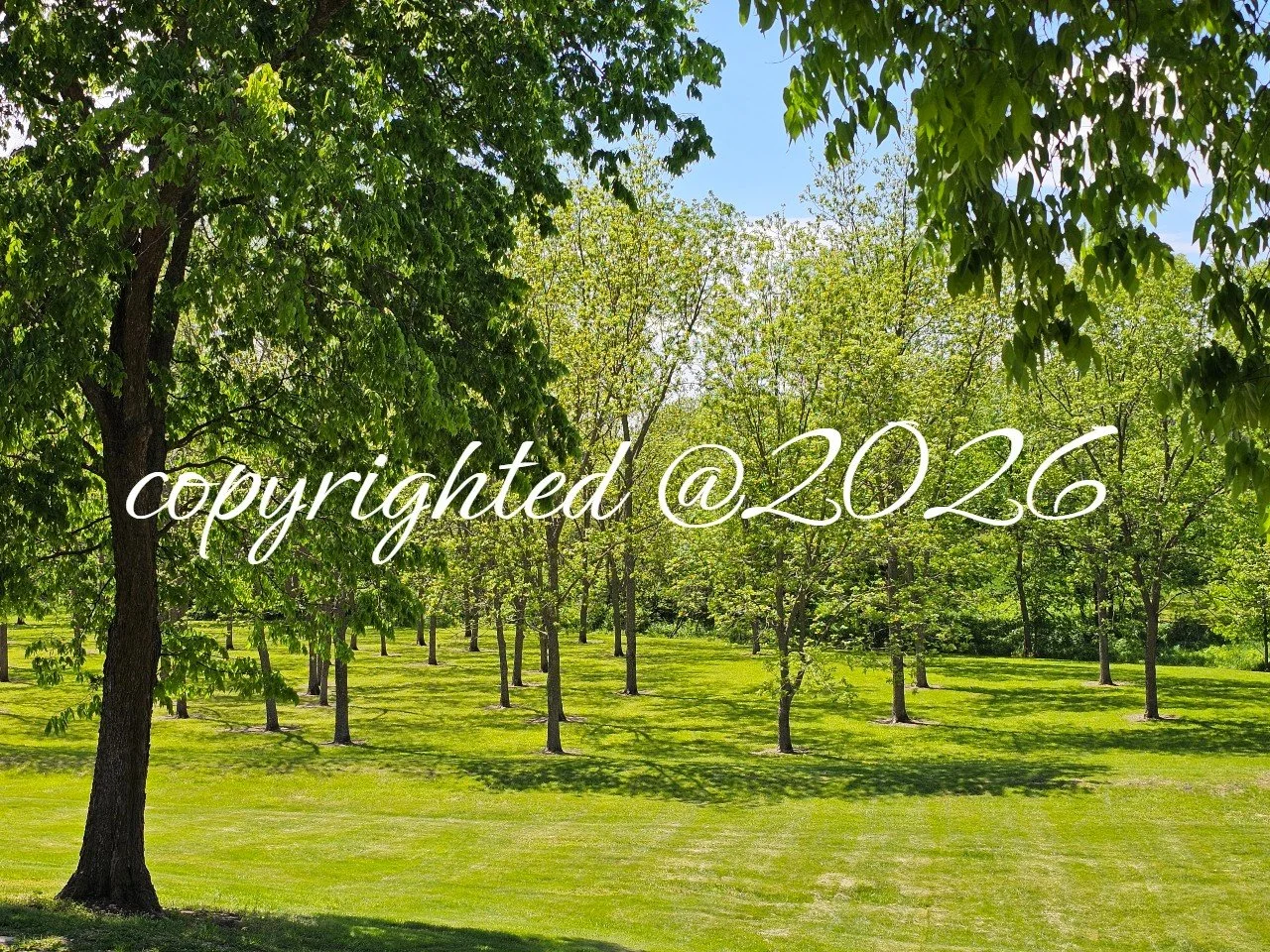 copyright20260509_141153.jpg