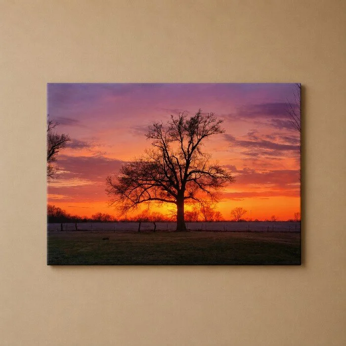 Solitary at Sunset close up.jpg