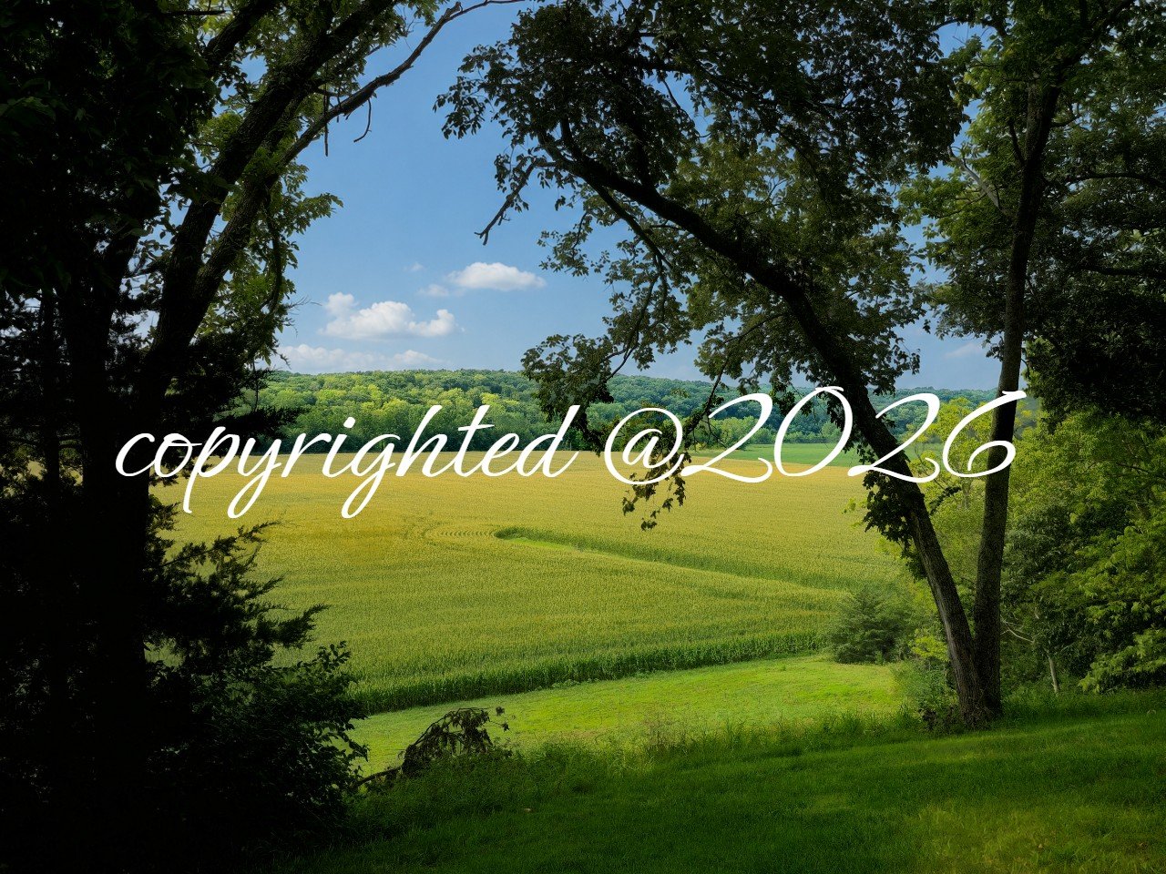 copyrightlow-Res_The valley of AOA from Adams altar_tower site.jpg