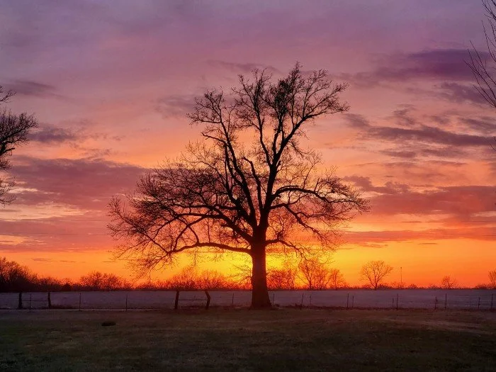 Solitary at Sunset Picture.jpg