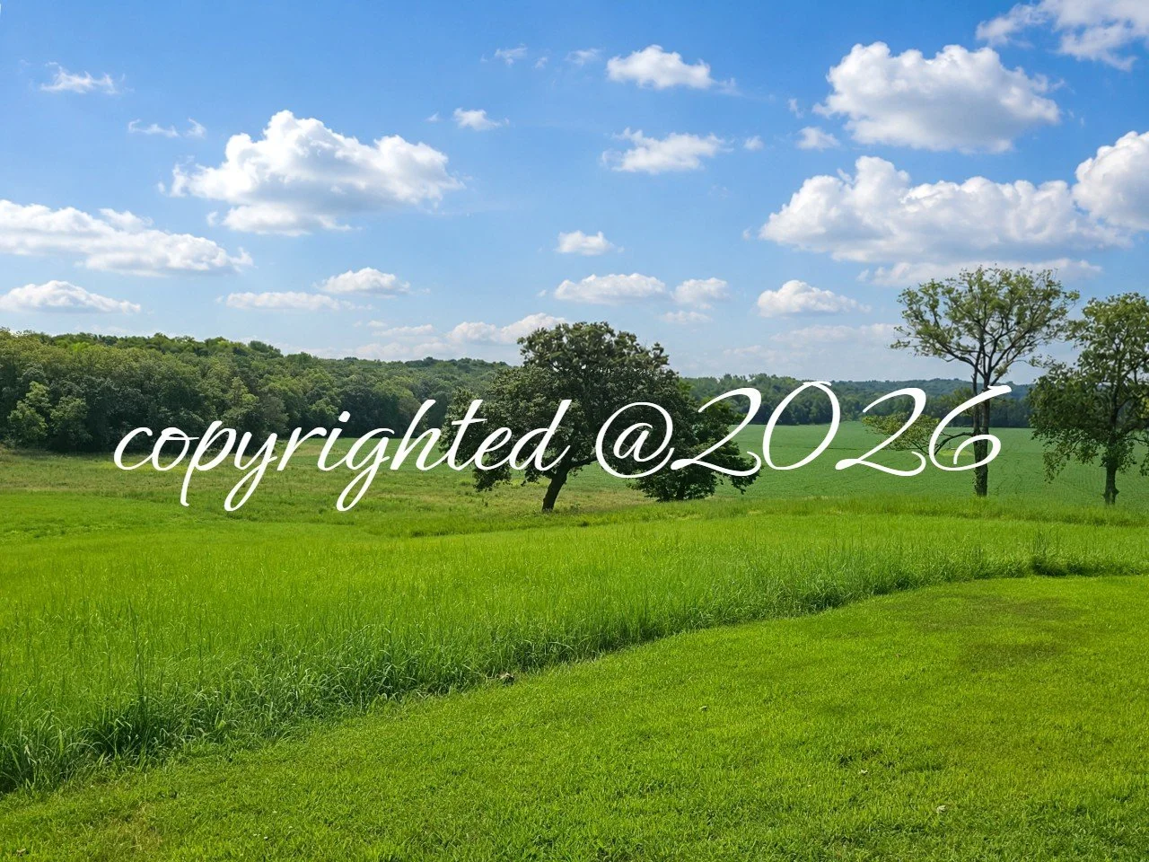 copyrightlow-res-Looking towards the southeast corner of the valley of AOA.jpg