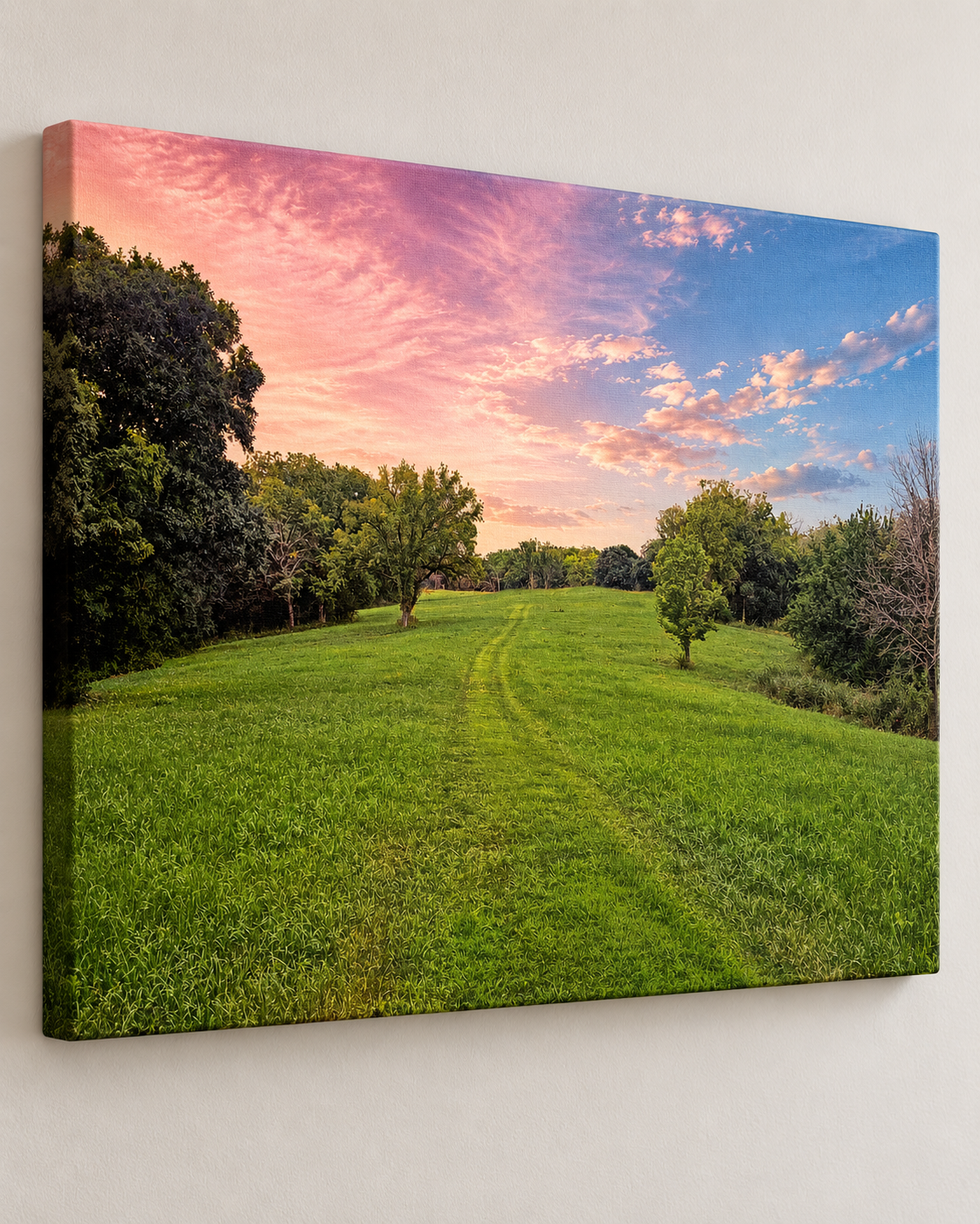 Sunset on Spring Hill close up.png
