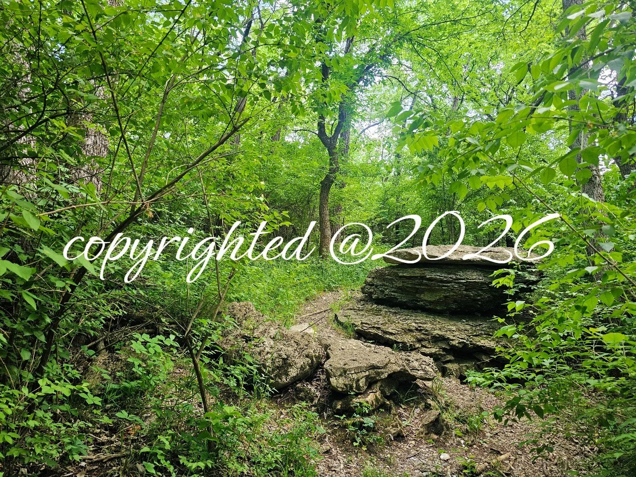copyright_council rock landscape.jpg