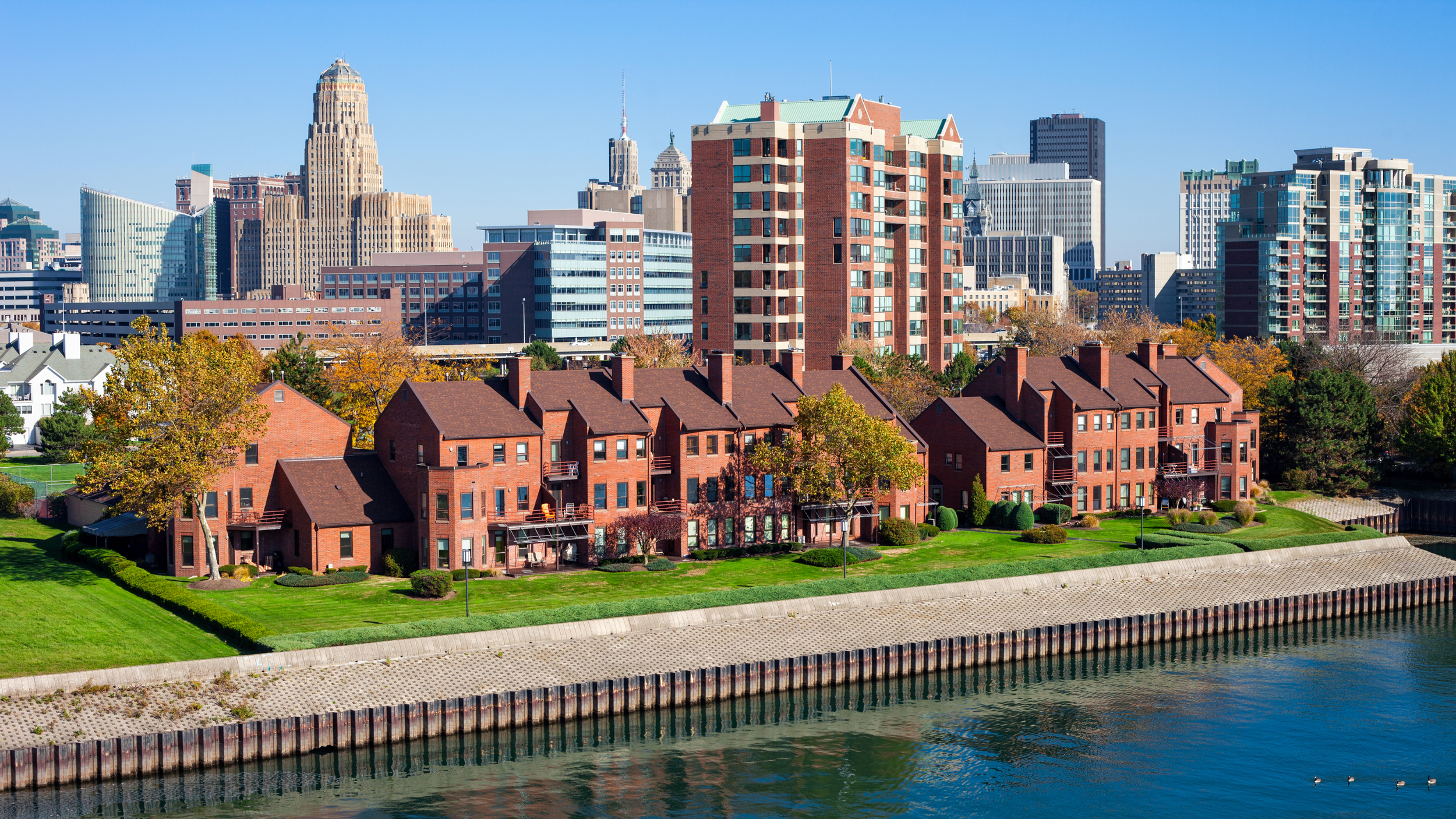 Buffalo #2136