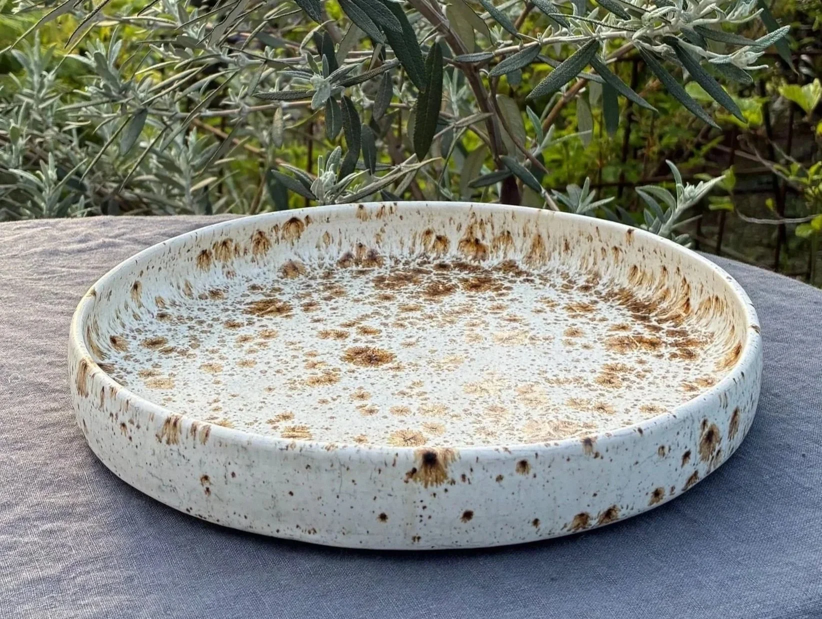 Dinner Plate