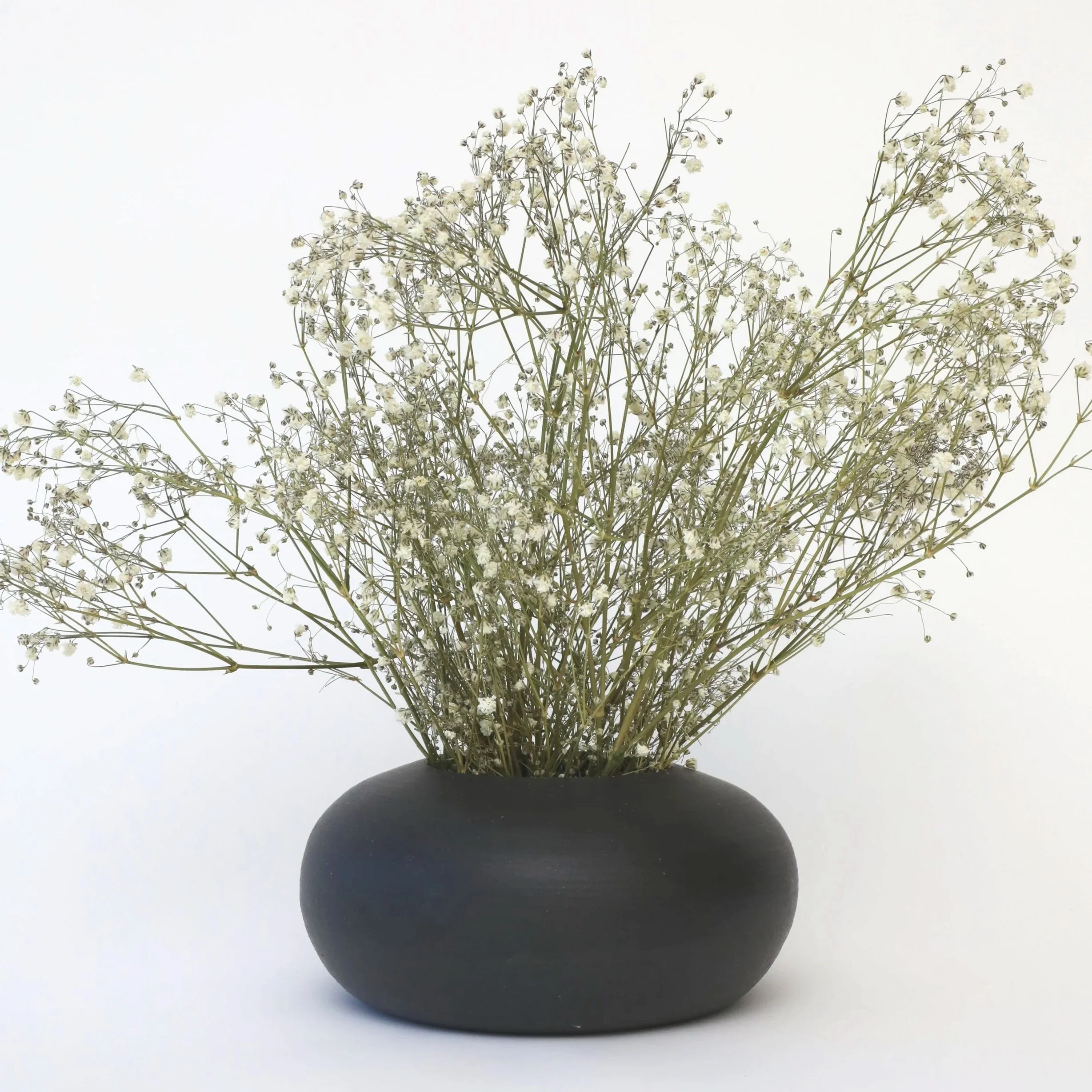 Black+Vase+with+Baby%27s+Breath.jpg