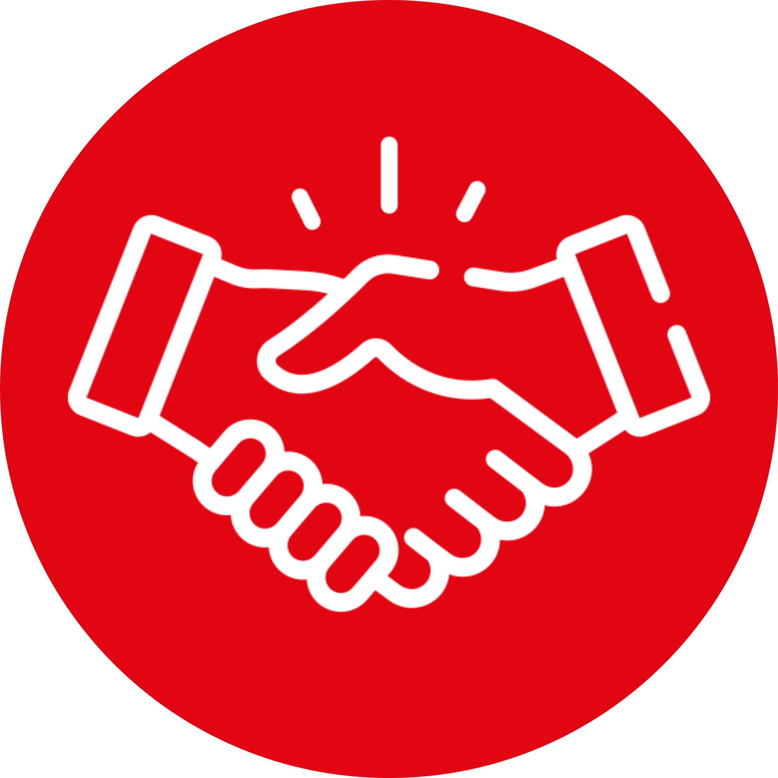 Red circle background with white outline of a handshake and a book, symbolizing cooperation and knowledge.