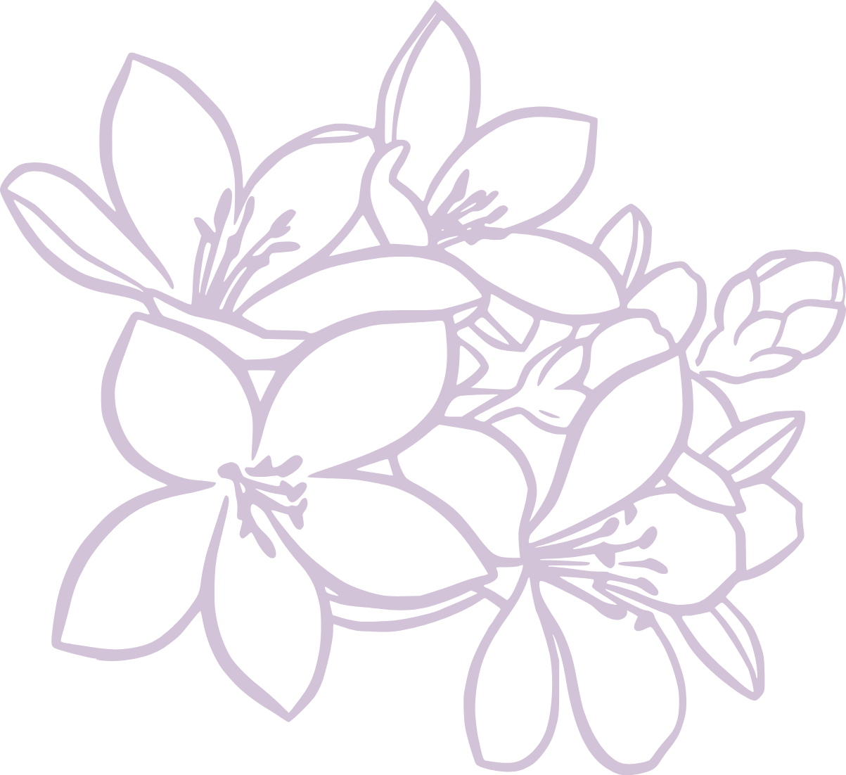 Outline drawing of flowers with multiple petals and leaves, depicted in light purple on a black background.