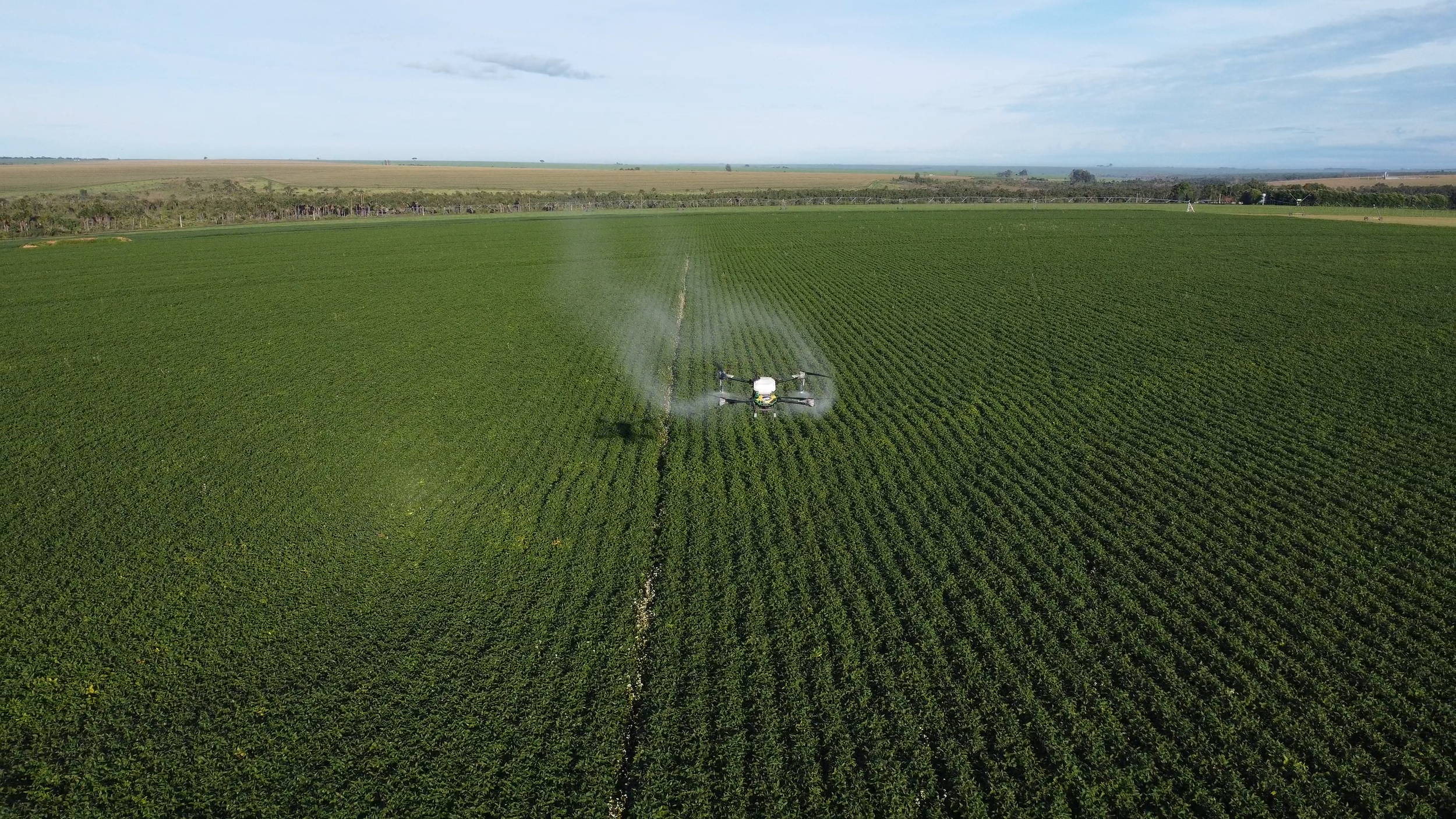 Pulverización,Siembra y Fertilización