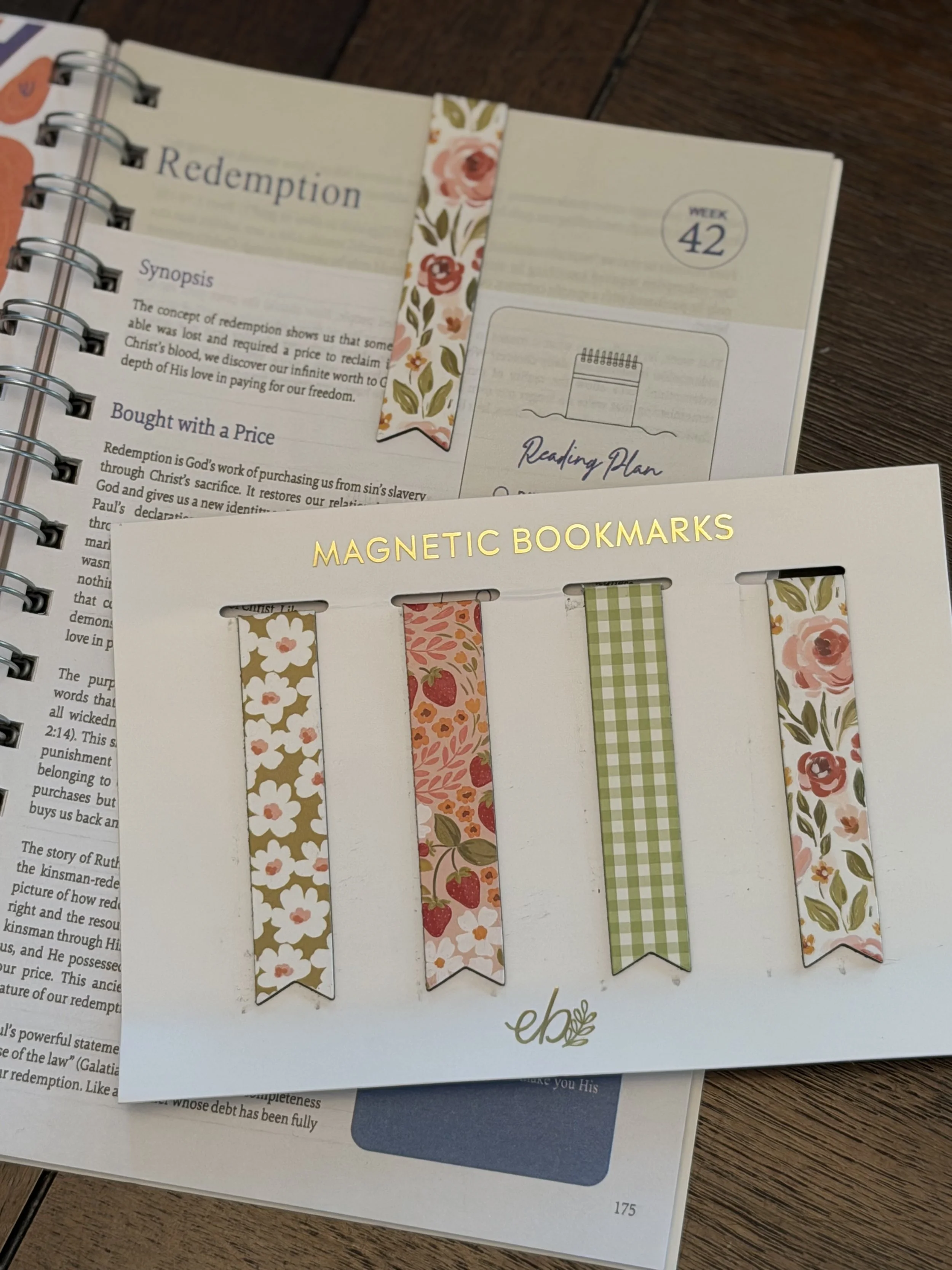 Magnetic bookmarks-EB2.jpeg