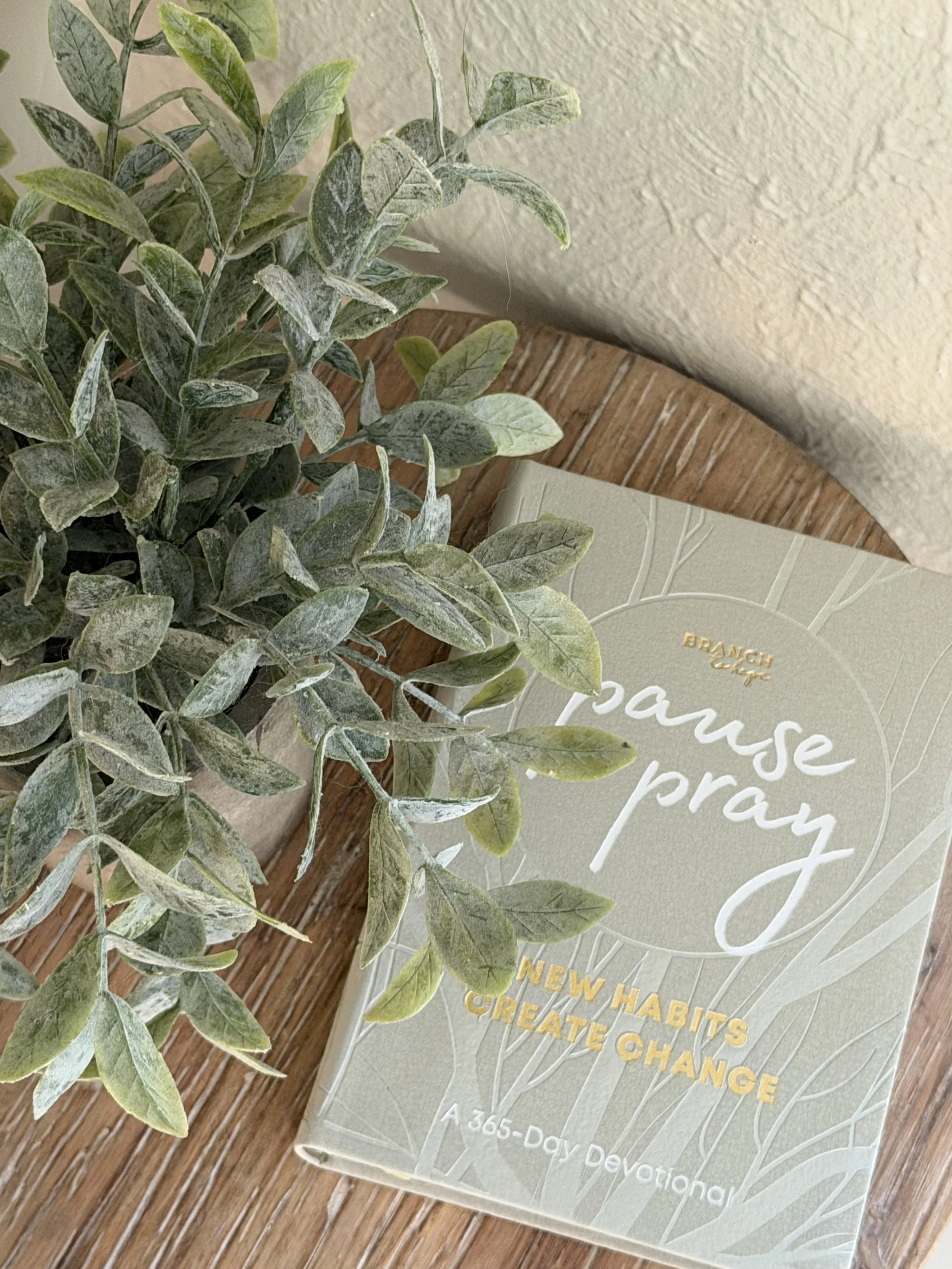 Pause and Pray Devotional 1.jpeg