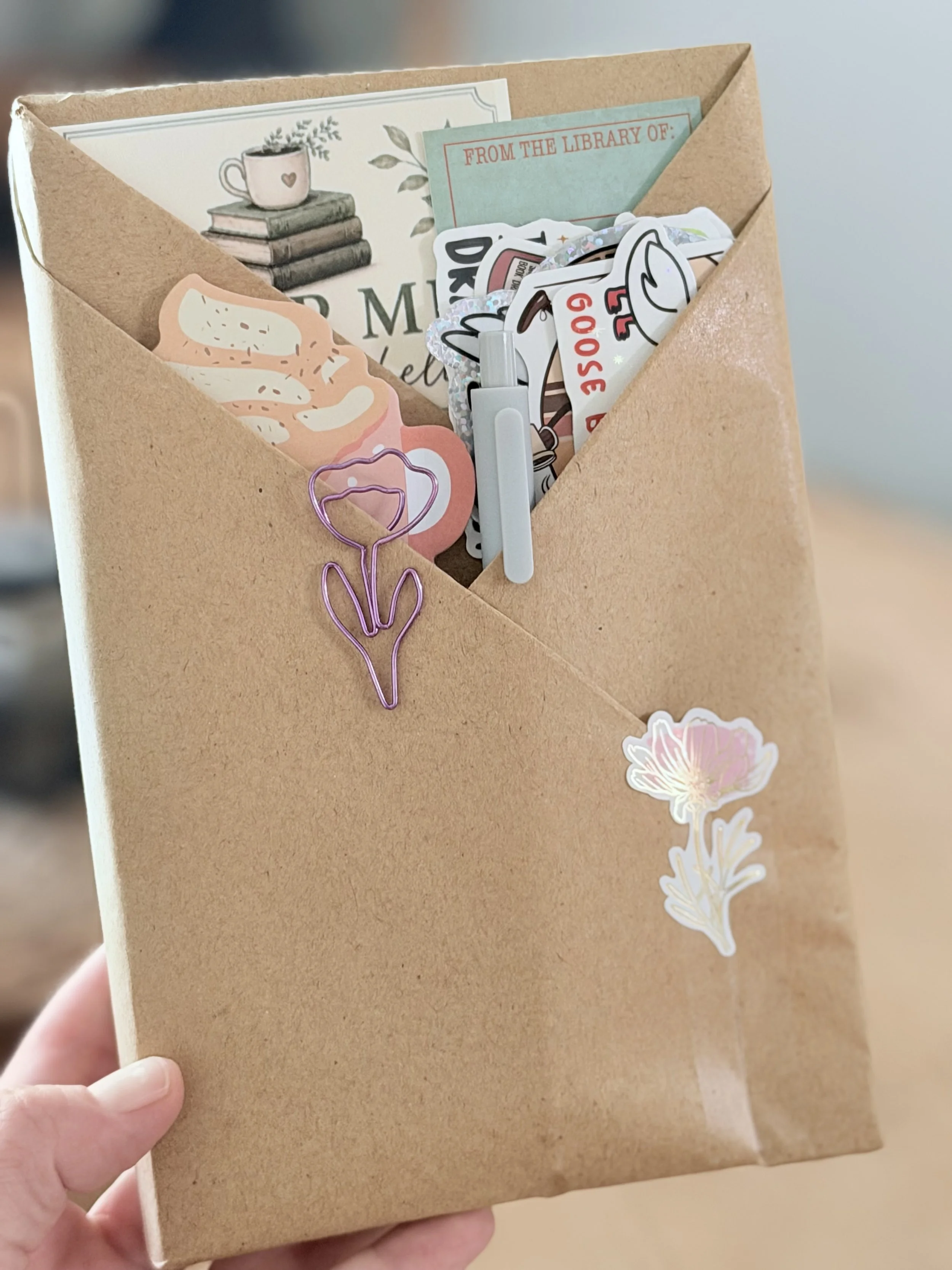 Reader SURPRISE! Mini