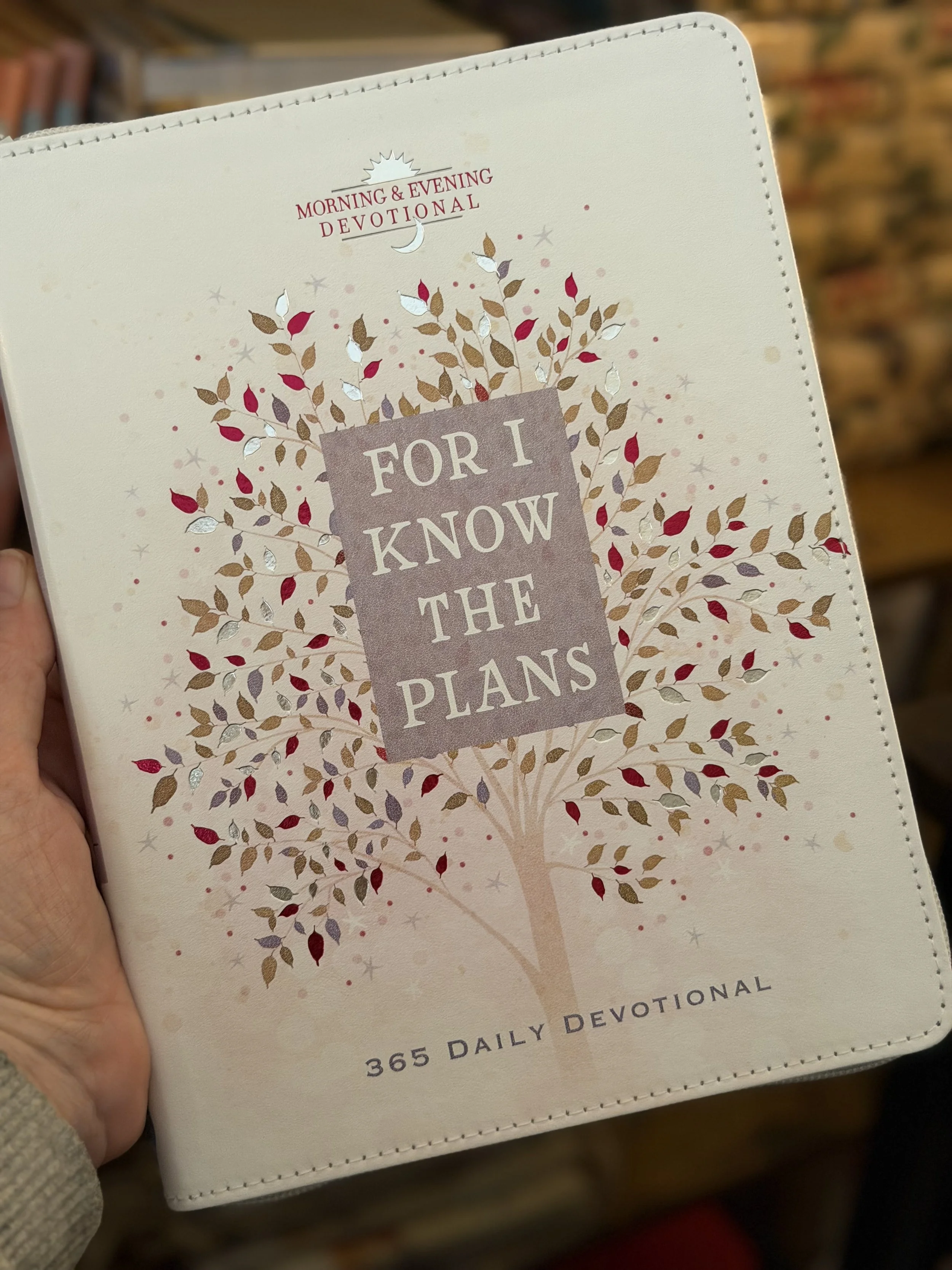 For I Know The Plans 365-Day Devotional