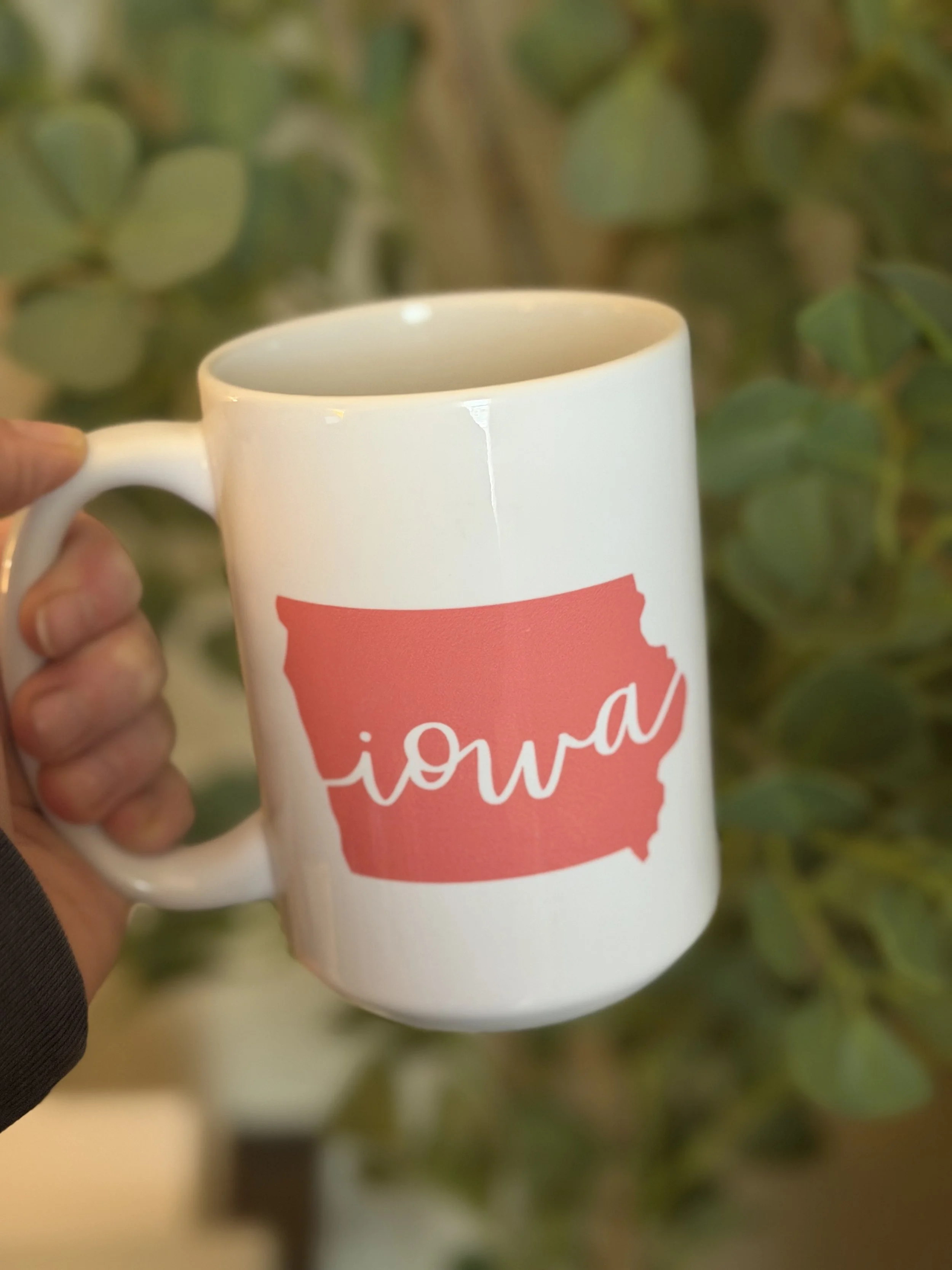 Iowa Color Block Mugs 15oz