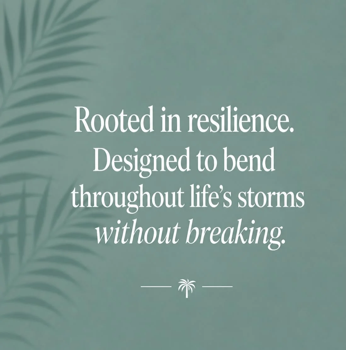 🌴Rooted in Resilience 🌴

Like a palm tree that bends without breaking through strong coastal storms, you can develop coping skills in therapy that help you stay strong and resilient through life&rsquo;s storms.