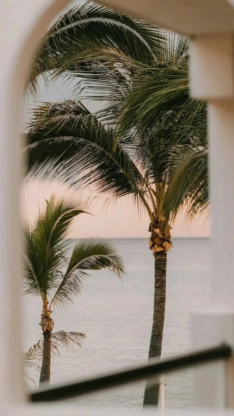 View of palm trees over water seen through a small rectangular opening or window.